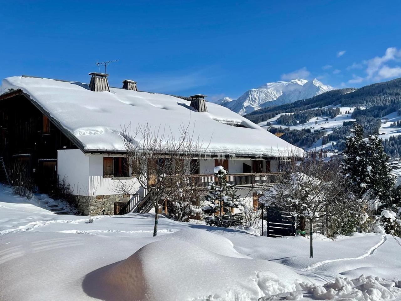 Demi-Quartier Chalet A Megeve-Vauvray - Grands Appartements , Vue Mont Blanc מראה חיצוני תמונה